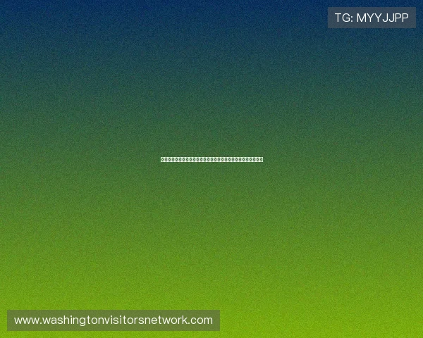 虎鲸之眼见证二战风云下的人类毁灭与挣扎史诗跨越海洋的旁观者